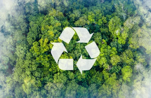 Recycling symbol with green trees in the background representing eco-friendly and sustainable living practices.